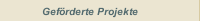 Gef&ouml;rderte Projekte