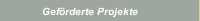Gef&ouml;rderte Projekte